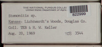 Image Associated With the Occurence